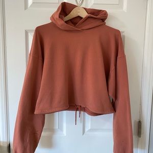 Aritzia The Constant OLA Hoodie / Weekender Hoodie